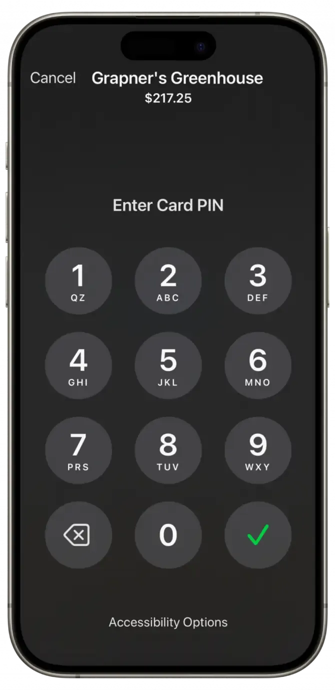 Entering the PIN on the iPhone